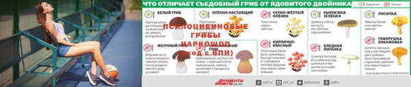 МДПВ Карталы