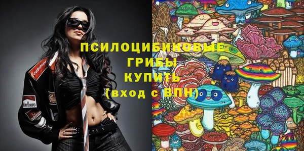 МДПВ Карталы