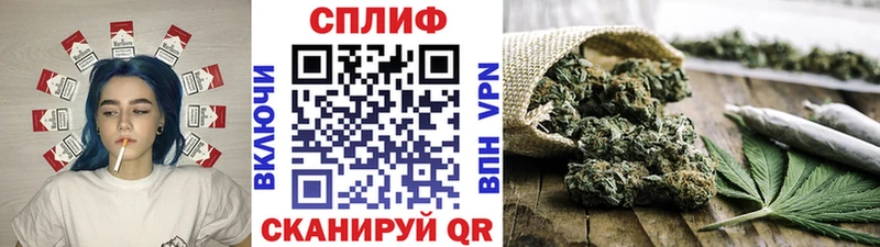Купить закладки  Асбест  Канабис индика 